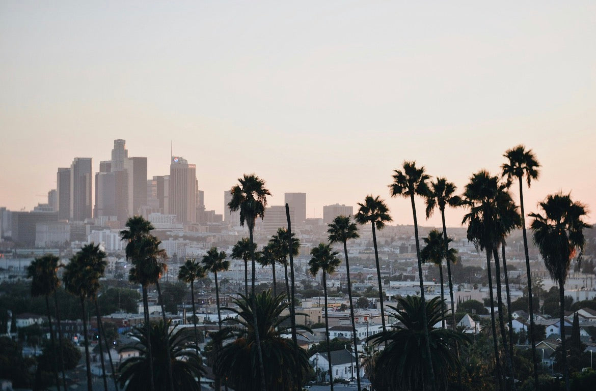 THE REAL LOS ANGELES: WHAT HOLLYWOOD DOESN’T SHOW YOU